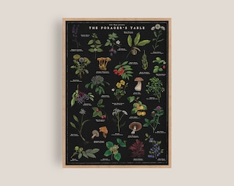 Botanical Print | Foraging Artwork | British Wild Food | Nature Poster | Forest Food | Kitchen decor