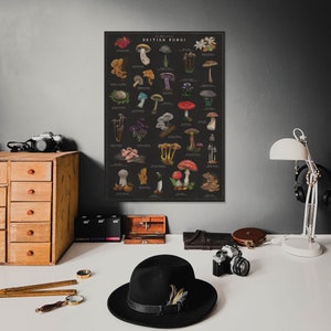 May include: A vintage-style poster featuring a collection of illustrated mushrooms with their names and scientific classifications. The poster is titled "The Fungi Guide: British Fungi" and has a black background with white text.