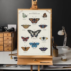 May include: A vintage-style poster featuring illustrations of 12 different butterflies with their common names and scientific names. The poster has a white background with black text and is titled "Butterflies".