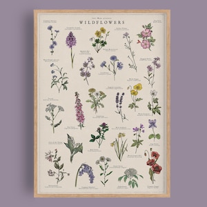 May include: A framed botanical print titled WILDFLOWERS featuring detailed illustrations of various plants with their common and scientific names printed in black text on a cream background, encased in a light wood frame.