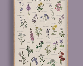 May include: A framed botanical print titled WILDFLOWERS featuring detailed illustrations of various plants with their common and scientific names printed in black text on a cream background, encased in a light wood frame.