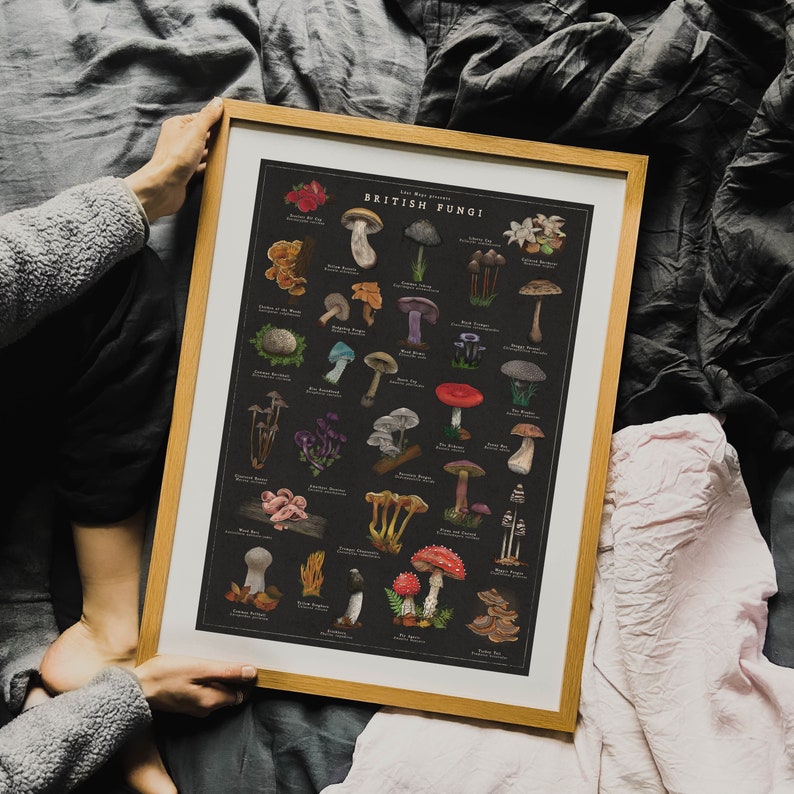 wild mushroom art work. colourful inked mushrooms on black paper. variety of wild mushrooms founds in the uk.