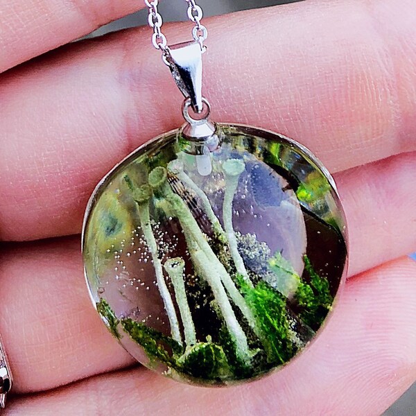 Collar de terrario para mujeres, Liquen real, joyas de hongos y musgo, Collar botánico de resina, Regalo vegano, Regalo para amantes de las plantas, Regalo botánico