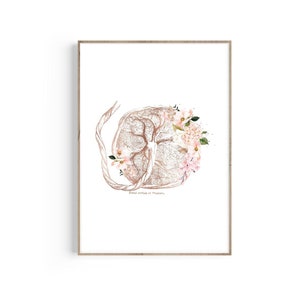 Placenta Fetus Pregnancy Art, Womb Art Print, Baby Art, Gynecology, Obstetrician, OBGYN, Midwife Gift, Doula Appreciation, Gynecologist Gift