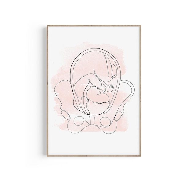 Impression d'art une ligne grossesse, cadeau obstétrique, gynécologue, sage-femme, doula, bébé fille, impression grossesse, cadeau médecin, foetus, art de l'anatomie de naissance