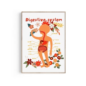 Digestive System, Human Body Anatomy Art, Stomach, Intestines Art, Digestion Print, Doctor Gift, Doctor Office Decor, Digestive Tract Print