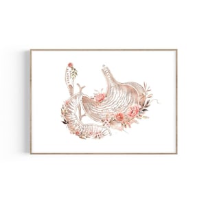 Stomach Anatomy Art, Digestive System Anatomy, Gastroenterologist Gift, Gastroenterology Art Print, Doctor Medical Print Décor, Floral Art