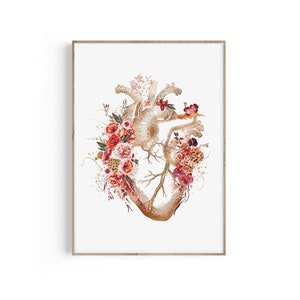 Heart Anatomy Print, Heart Anatomy Poster, Anatomical Heart Art, Cardiology Gift, Medical Student Gift, Doctor Office Decor, Floral Print