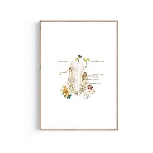 May include: A framed print featuring a detailed illustration of a tooth's anatomy. The artwork highlights gingivitis, periodontitis, and other dental conditions. Floral accents in yellow and blue add a decorative touch to the educational diagram.
