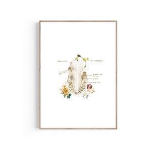 Gingivitis, Periodontitis, Tooth Anatomy Art, Dentist Gift, Teeth Art, Dentist Office Decor, Dental Hygienist, Dental Assistant, Tooth Print