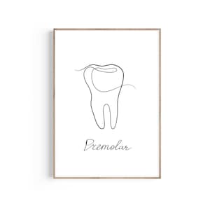 Premolar Tooth One Line Art, Dentist Gift, Dentist Anatomy Art, Dentist Office Decor, Dental Hygienist, Dental Assistant, Dental Student