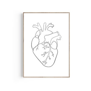 Heart Anatomy One Line Art Print, Heart Anatomy Poster, Anatomical Heart Art, Cardiology Gift, Medical Student Gift, Doctor Office Decor