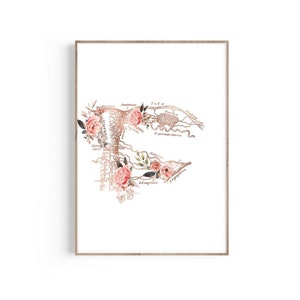 Uterus Nerves Anatomy Print, Female Reproductive System, Uterus Art, OBGYN Gift, Midwife Gift, Gynecologist Gift, Midwife, Doula, Floral