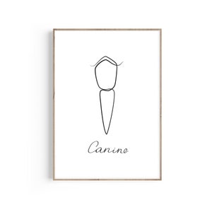 Canine Tooth One Line Art, Dentist Gift, Dentist Anatomy Art, Dentist Office Decor, Dental Hygienist, Dental Assistant, Dental Grad Student