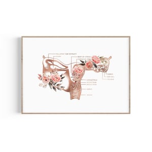 Baarmoeder anatomie print, vrouwelijk voortplantingssysteem, baarmoeder kunst, cadeau OBGYN, cadeau verloskundige, cadeau gynaecoloog, verloskundige, doula, bloemen baarmoeder kunst