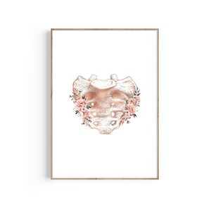 Coccyx Skeletal Print Wall Art, Tailbone, Doctor Gift, Doctor Art, Chiropractor Medical Prints, Med School Graduation Gift, Physical Therapy