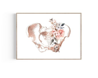 Pelvis Art, Anatomy Art Print, Female Pelvis Print, Physical Therapist Gift, Chiropractor Print, Doctor Gift, Orthopedic Art, Floral Anatomy