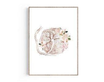 Placenta Fetus Pregnancy Art, Womb Art Print, Baby Art, Gynecology, Obstetrician, OBGYN, Midwife Gift, Doula Appreciation, Gynecologist Gift