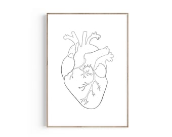 Heart Anatomy One Line Art Print, Heart Anatomy Poster, Anatomical Heart Art, Cardiology Gift, Medical Student Gift, Doctor Office Decor