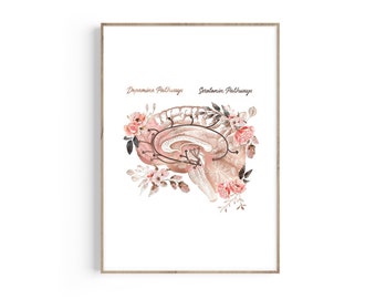 Pode incluir: Uma ilustração em aquarela do cérebro com detalhes florais. O cérebro está rotulado com as vias da dopamina e da serotonina. As flores são rosa e marrons.