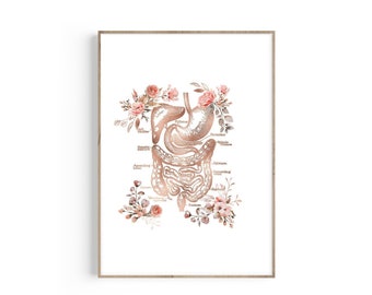 Anatomie du système digestif, art de l'anatomie de l'estomac, cadeau de gastro-entérologue, impression d'art gastro-entérologie, décor imprimé médecin médical, art floral