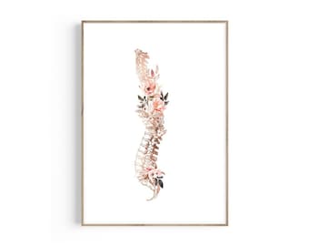 Thoracic Spinal Cord Cross Section Print - Spinal Cord Art Print ...