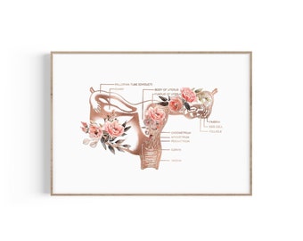 Uterus Anatomy Print, Female Reproductive System, Uterus Art, OBGYN Gift, Midwife Gift, Gynecologist Gift, Midwife, Doula, Floral Uterus Art