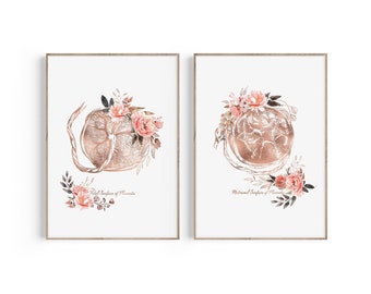 May include: Two watercolor illustrations of the human placenta, one showing the fetal surface and the other showing the maternal surface. Both illustrations are surrounded by pink and white flowers.