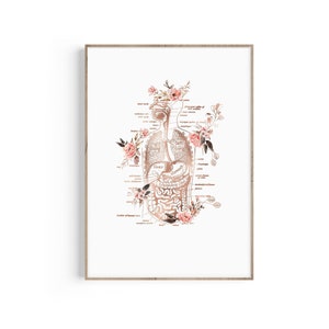 Anatomie kunst menselijk lichaam, hart, longen, spijsvertering, menselijke organen afdrukken, medische grafiek, dokterspraktijk decor, graduatiecadeau, medische kunstafdruk