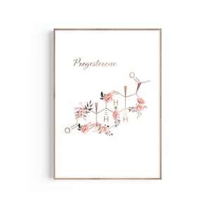 Progesterone Molecule, Progesterone Art Print, Sex Molecule, Reproductive Hormone, Midwife Gift, Doula, Gynecologist Gift, Doctor Office