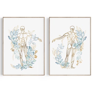 Anatomical Muscular System, Medical Art Prints, Anatomy Floral Art, Muscles Art, Anatomy Prints, Physical Therapy Gift, Chiropractor Gift