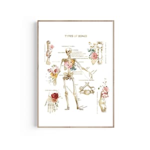 Types of Bones, Anatomical Skeleton Medical Art Prints, Anatomy Floral Art, Labeled Skeletal Art, Orthopedic Gift, Chiropractor Art Gift