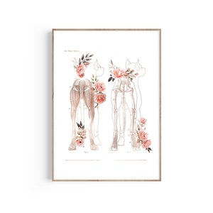 Dog Anatomy Print, Canine Muscles Anatomy, Dog Anatomical Art, Veterinarian Gift, Vet Office Decor, Vet Student Gift, Floral Print
