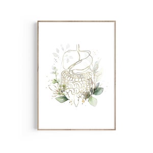 Digestive System Anatomy, Stomach Anatomy Art, Gastroenterologist Gift ...