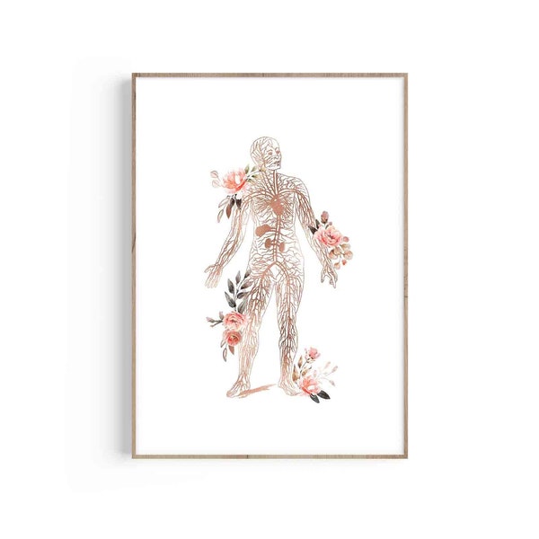 Circulatory System, Human Body Anatomy Art, Heart, Blood Vessels Art, Cardiovascular Anatomy, Doctor Gift, Pediatrician, Human Veins