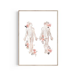 Cutaneous System, Human Body Anatomy Art, Medicine Art, Doctor Gift