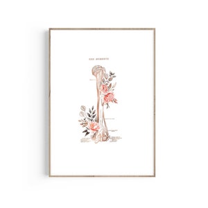 Humerus Bone, Types of Bones, Anatomical Skeleton Medical Art Prints, Anatomy Floral Art, Labeled Bone Art, Orthopedic Gift, Chiropractor