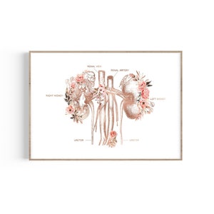 Kidneys Anatomy Art, Urologist Print, Nephrology Art, Urinary Tract System, Nephrologist Gift, Dialysis Nurse Gift, Dialysis Technician Art