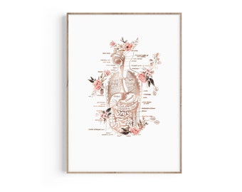 Human Body Anatomy Art, Heart, Lungs, Digestive, Human Organs Print, Medical Chart, Doctor Office Decor, Graduation Gift, Medical Art Print