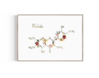 Prolactin Molecule, Lactation Decor, Milk Production, Midwife Art, Doula Gift, Birth Worker Print, Breastfeeding Hormone, Mammary Glands