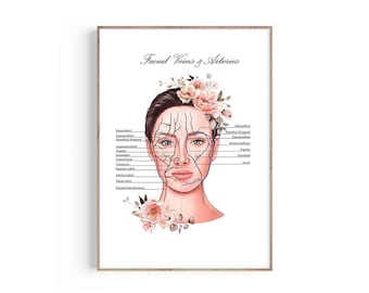 Facial Anatomy Print: Veins, Arteries, Esthetician Decor (Digital Download)