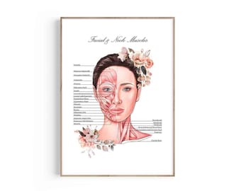 May include: A printable anatomy chart of the facial and neck muscles. The chart features a detailed illustration of a woman's face and neck with labels for each muscle. The illustration is done in a watercolor style with pink and red tones. The background is white with a floral design in the corner.