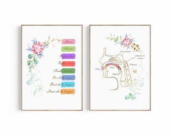 May include: Two framed watercolor prints. One features a diagram of the human vocal tract in gold outline with labels. The other print has a list of French terms for parts of the mouth and throat, with colorful boxes and floral accents.