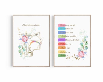 May include: A diagram of the human mouth and throat with a list of places of articulation for sounds in the English language. The diagram is surrounded by watercolor flowers and leaves.