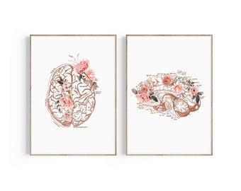 Pode incluir: Duas impressões de arte imprimíveis que apresentam ilustrações anatômicas do cérebro humano com acentos florais. As impressões são em um estilo de aquarela com tons rosados e marrons.