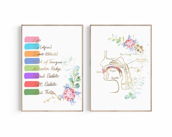 May include: Two printable posters with watercolor floral illustrations and gold lettering. The first poster shows a diagram of the mouth with labels for the lips, tip, front, back of tongue, alveolar ridge, hard palate, soft palate, and vocal folds. The second poster shows a diagram of the mouth and nasal cavity with labels for the teeth, tongue, epiglottis, oral cavity, pharynx, and resonating chamber.
