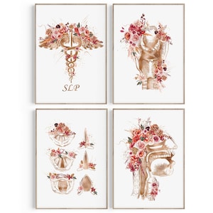 Puede incluir: Cuatro impresiones artísticas enmarcadas que presentan ilustraciones médicas con acentos florales. Las impresiones representan un símbolo de caduceo con el texto "SLP", una garganta y otras estructuras anatómicas, adornadas con flores de acuarela en tonos rosa, rojo y dorado.