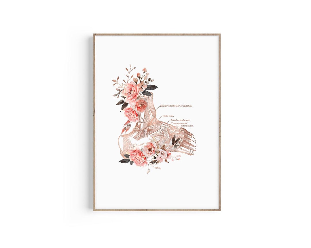 Ankle Foot Anatomy Art Podiatrist Print Ankle Art Joint Etsy