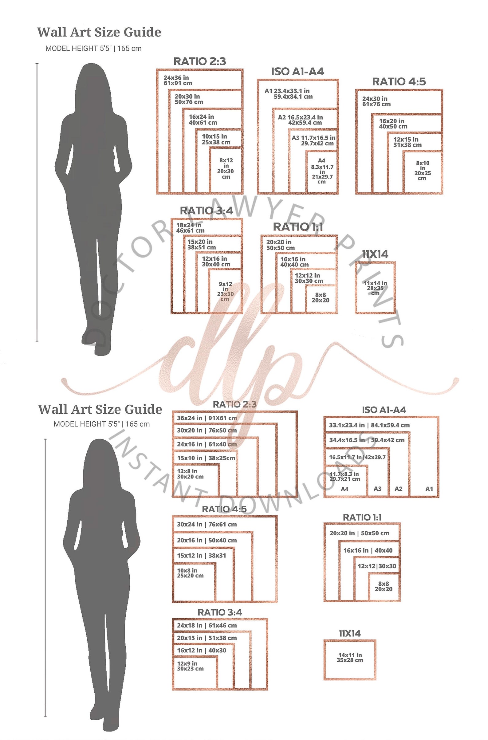 Breast Anatomy Print Mammary Gland Print OBGYN Art Breast - Etsy