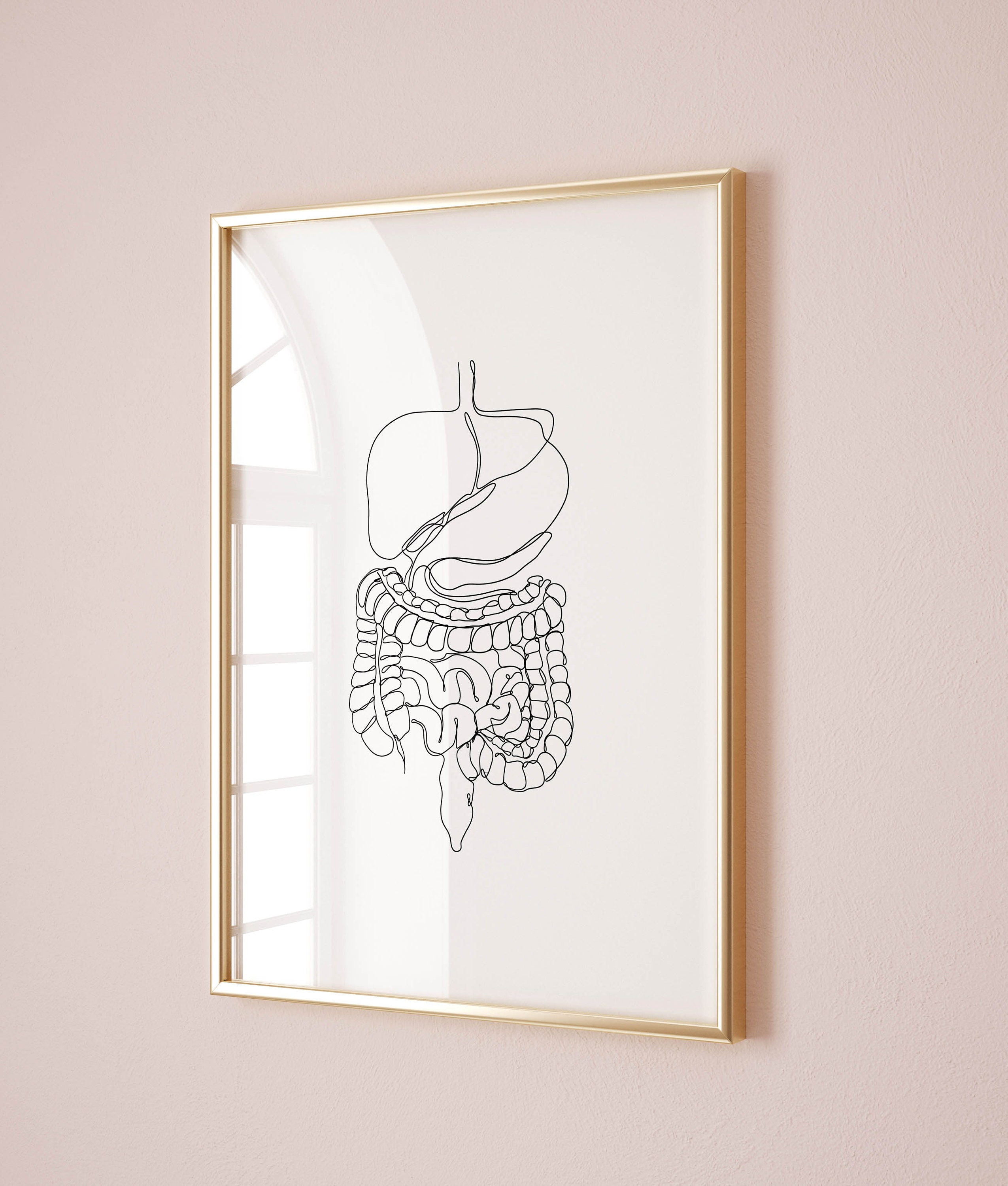 Digestive System Anatomy Art Print: Floral Gastroenterology Medical ...